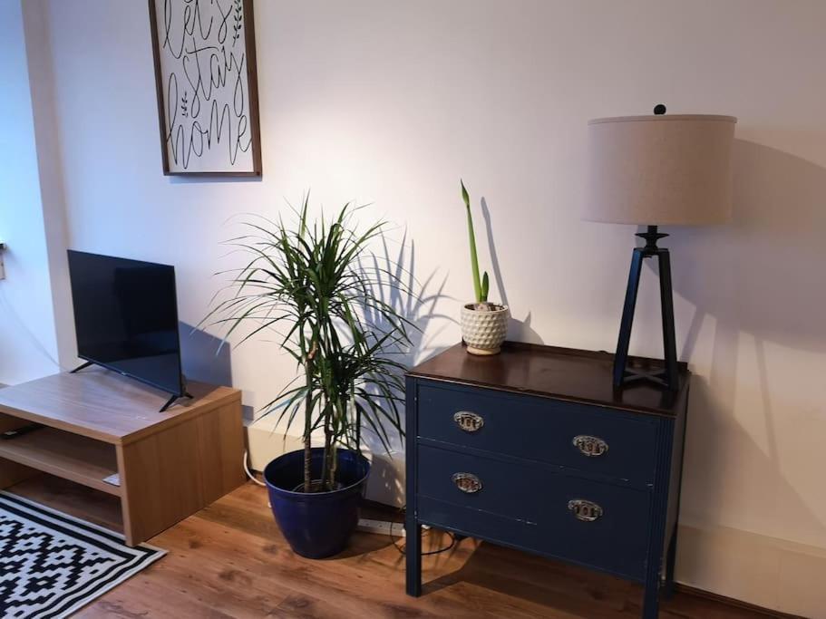 2 Bed Flat, Bounds Green, Piccadilly Line, London N11 Kültér fotó
